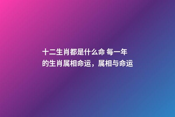 十二生肖都是什么命 每一年的生肖属相命运，属相与命运